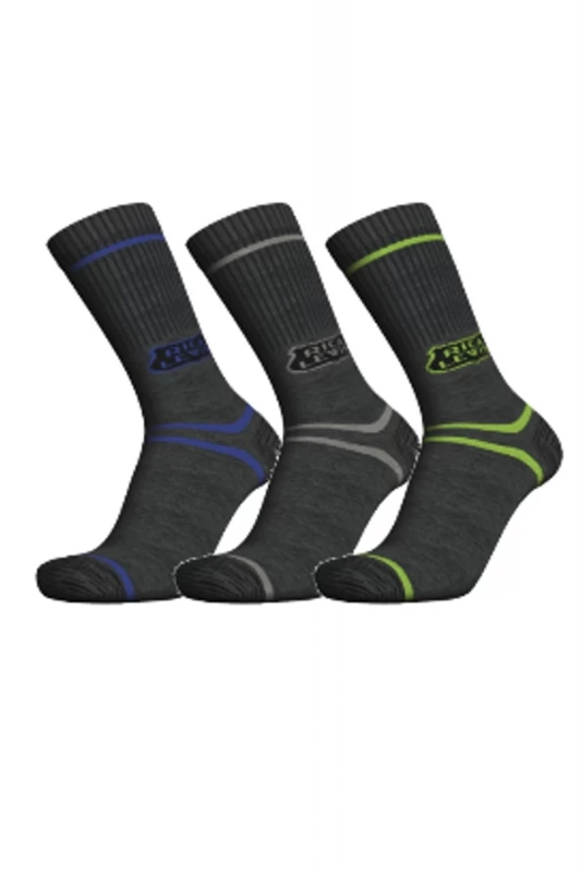 Chaussettes de travail renforcées, lot de 3 SOCKLG